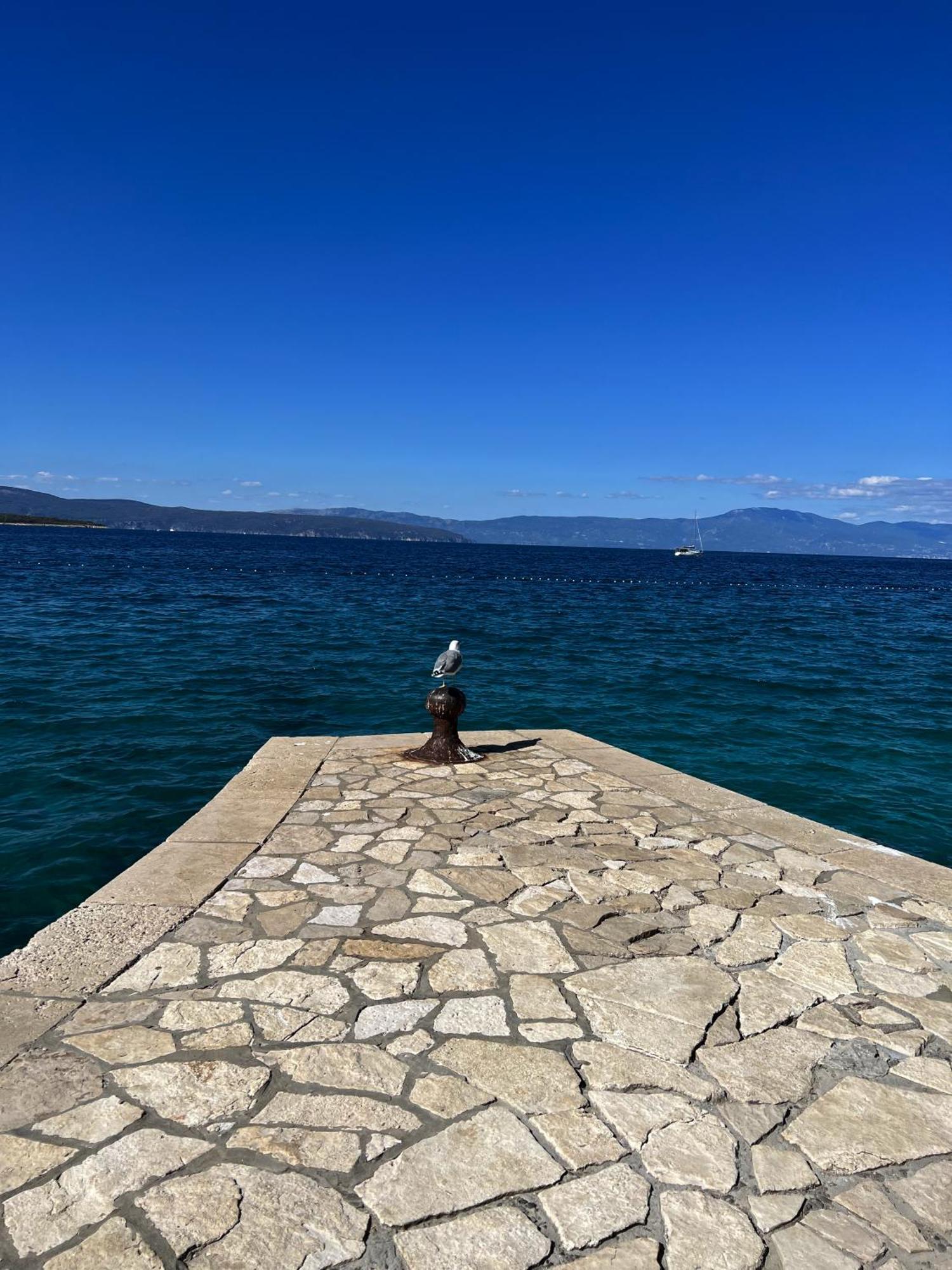Apartment Sunset & Seaview Premium Malinska